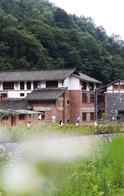 中国这十年｜百村安居图：守住巴渝好山水