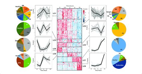 Temporal Lipidomics Analysis In Human Macrophages Reveal