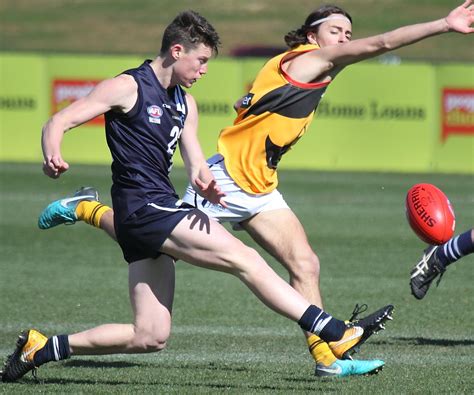 No chinks in likely No.1 Walsh: Sheehan | Geelong Advertiser