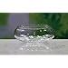 SHOBHANA ENTERPRISES Crystal Clear Glass Fish Or Terrarium Or