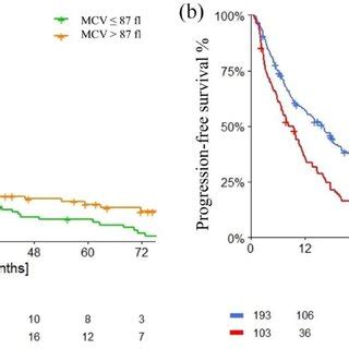 Progression Free Survival In Overall Population According To