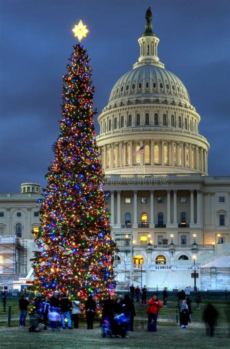 US Capitol Christmas Tree Editorial Stock Photo Image Of Star