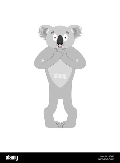 Koala Scared Koala Bear Frightened Beast Afraid Vector Illustration