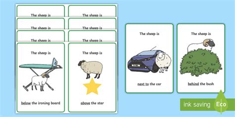 Sheep Positional Language Cards Lehrer Gemacht Twinkl