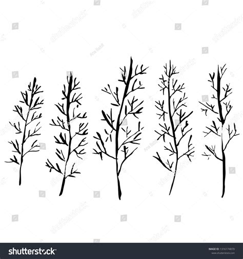 Naked Trees Silhouettes Hand Drawn Set Vetor Stock Livre De Direitos