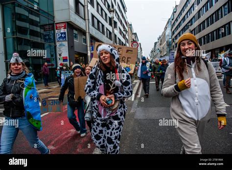 3 de diciembre Bruselas Miles de personas se reunieron en la estación