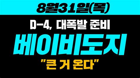 베이비도지d 4 중대 발표공식 발표 임박 베이비도지코인급등 베이비도지코인시세 Youtube