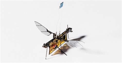 This Insect-Sized Flying Robot Is Powered by Lasers | WIRED