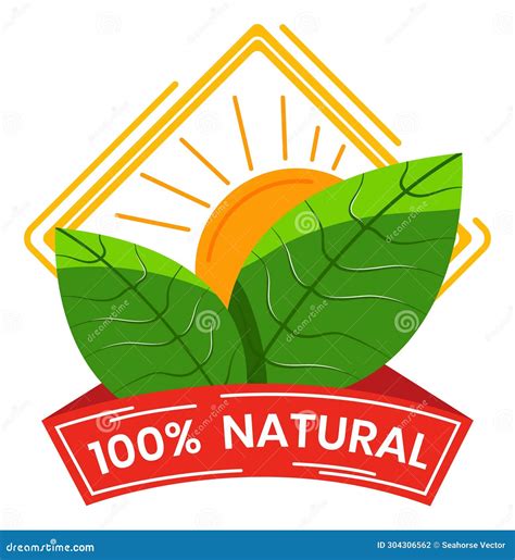 Eco Friendly Badge With Green Leaves And Sun Natural Label With