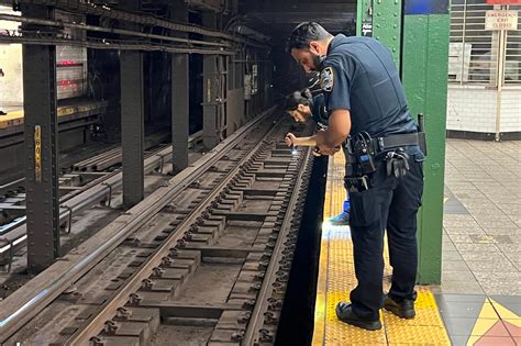 Nypd One Woman Slashed Another Punched In Brooklyn Subway Station