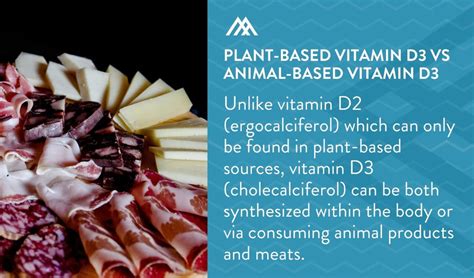 Plant-based Vitamin D3 vs Animal-based Vitamin D3 - Amandean