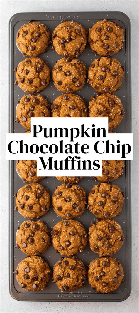 Irresistible Pumpkin Chocolate Chip Muffins