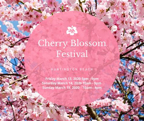 Oc Cherry Blossom Festival Lotta Mildrid