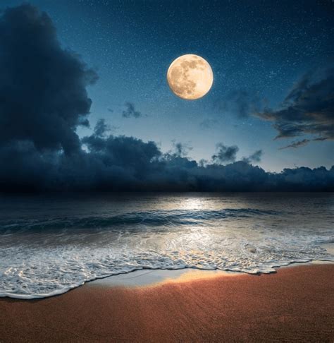 24,942 Beach Night Moon Royalty-Free Images, Stock Photos & Pictures ...