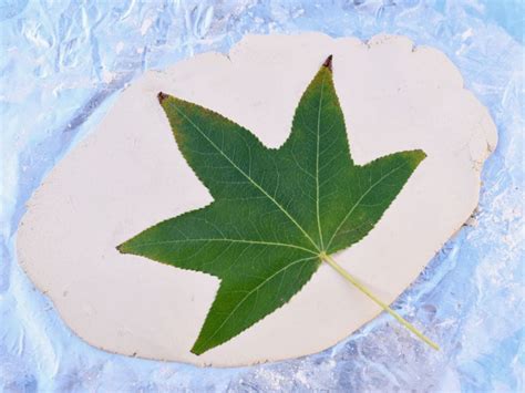 How To Make A Clay Leaf Bowl With Air Dry Clay In Minutes