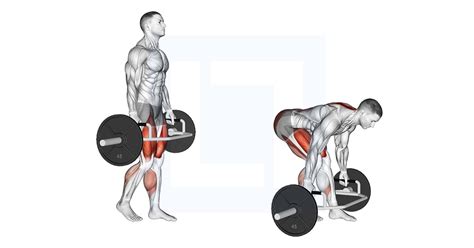 Trap Bar Split Stance Rdl - Guide, Benefits, and Form