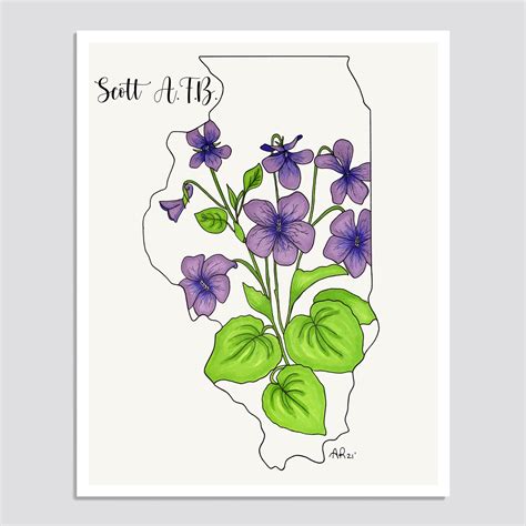 ILLINOIS State Flower Print, State Art Print, Gift Idea, Map Art - Etsy