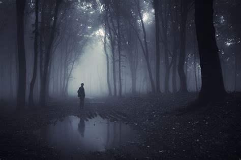 Man In A Dark Forest Dark Forest Fantasy Landscape Forest