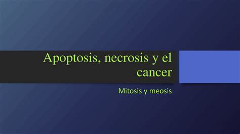 Solution Apoptosis Necrosis Y El Cancer Studypool