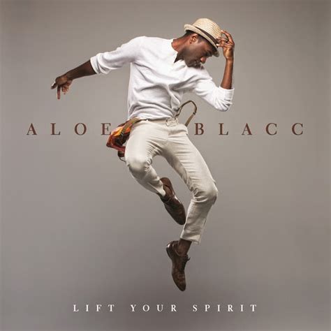 Aloe Blacc - The Man Lyrics | Song Lyrics Albums Artists | Music Info