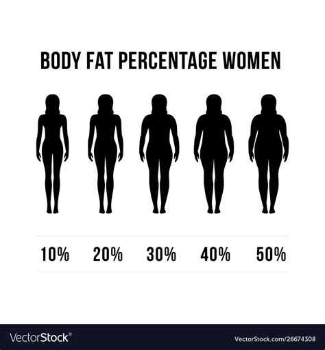 Woman Body Fat Vector Png Images Fat Woman Body Figure People Weight