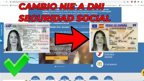 C Mo Cambiar Datos De Nie A Dni En La Dgt Proceso Online Paso A Paso