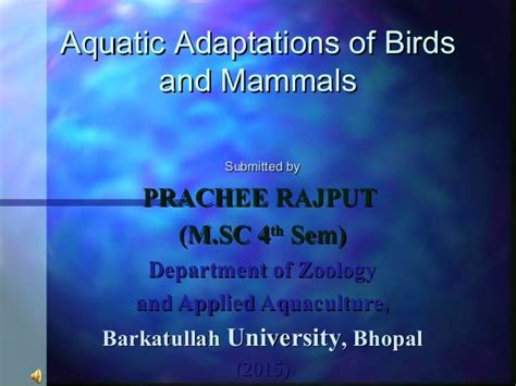 Aquatic adaptations in birds and mammals