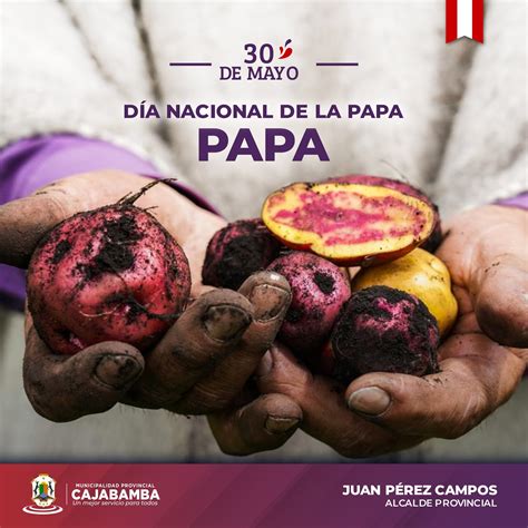 Día Nacional De La Papa Campañas Municipalidad Provincial Cajabamba Plataforma Del Estado