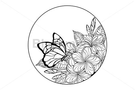 Monogram With Butterfly And Plumeria Graphic By Blackmoon9 Creative