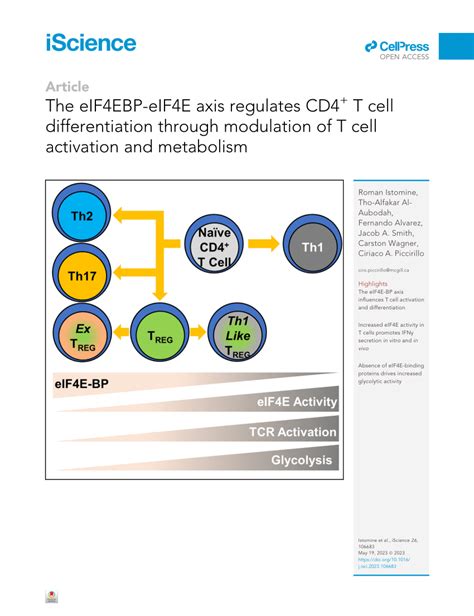 Pdf The Eif Ebp Eif E Axis Regulates Cd T Cell Differentiation