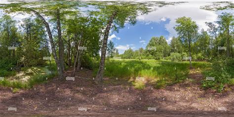 360° view of Forest pond in the natural boundary Muravishniki - Alamy