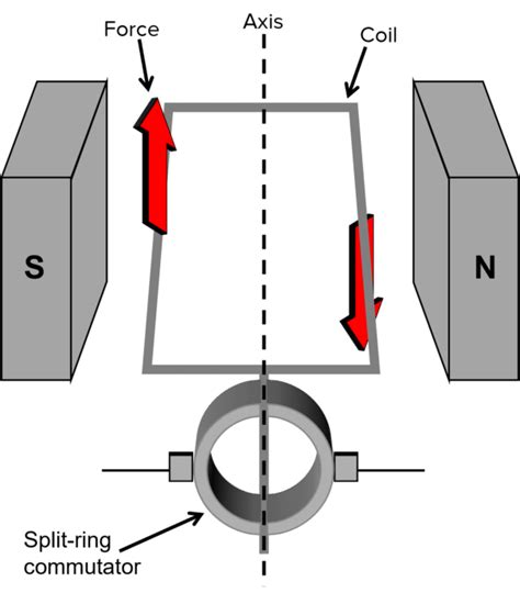 The Generator Effect Questions And Revision Mme