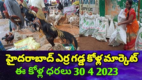 Hyderabad Erragadda Kola Market 30 4 2023 హైదరాబాద్ ఎర్రగడ్డ కోళ్ల