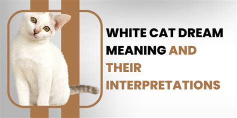 White Cat Dream Meaning And Their Interpretations Dreams Analyst