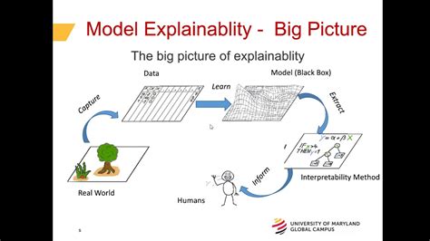 DATA 630 Lecture Model Explainability YouTube