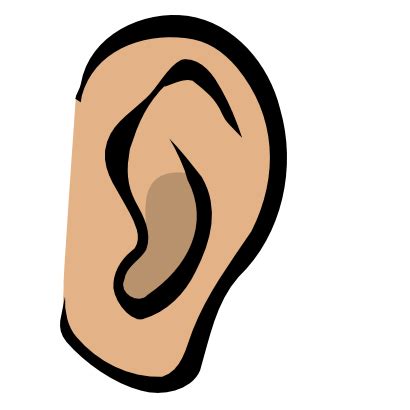 ear clipart - Clip Art Library