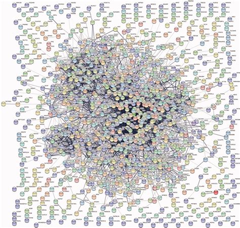 Proteinprotein Interaction Network Of Differentially Expressed Genes