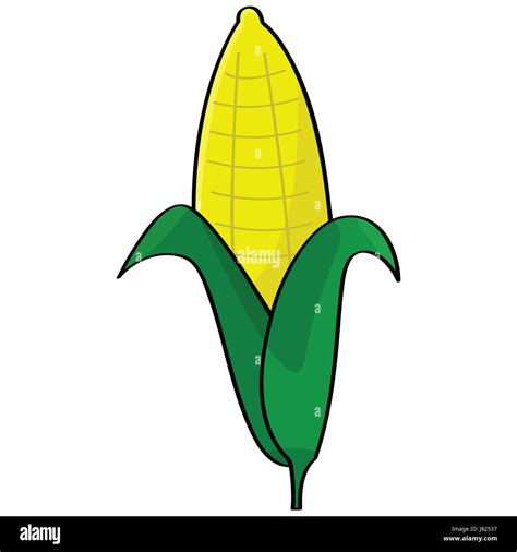 Food Aliment Art Illustration Corn Drawing Photo Picture Image Copy