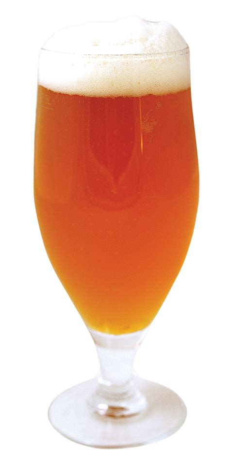 Pale Ale Beer Transparent PNG StickPNG