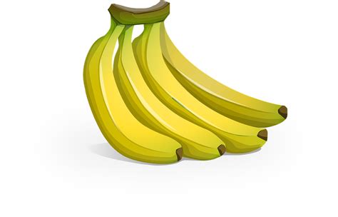 Download Bananas Fruit Food Royalty Free Vector Graphic Pixabay