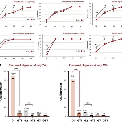 Migration assay. a Scratch migration assay: evaluation of the migration ...