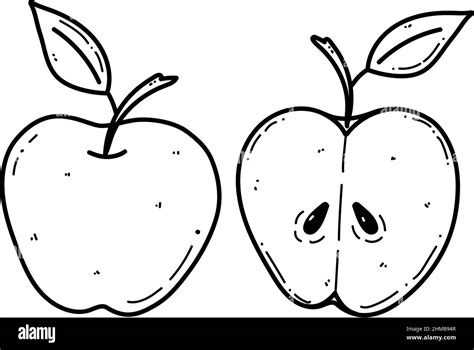 Vector Apple Doodle Illustration Fruit Illustration For Farm Market