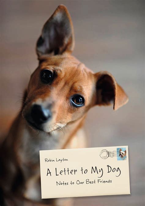 A Letter to My Dog