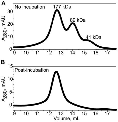 Size Exclusion Elution Profiles From A Superdex 200 Column Are Download Scientific Diagram