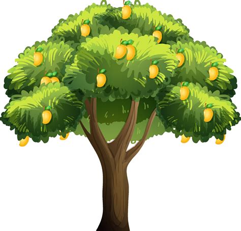 Yellow mango tree isolated on white background 2053065 Vector Art at ...