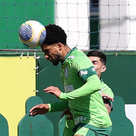 Veja Galeria De Fotos Do Ltimo Treino Do Palmeiras Antes De Encarar O