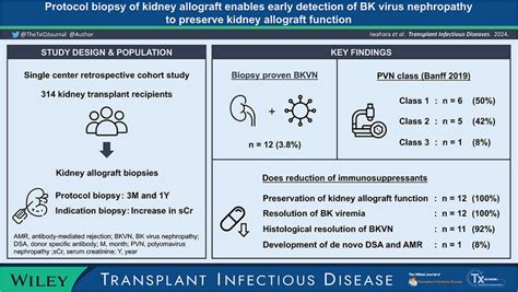 protocol biopsy  kidney allograft enables early detection  bk virus
