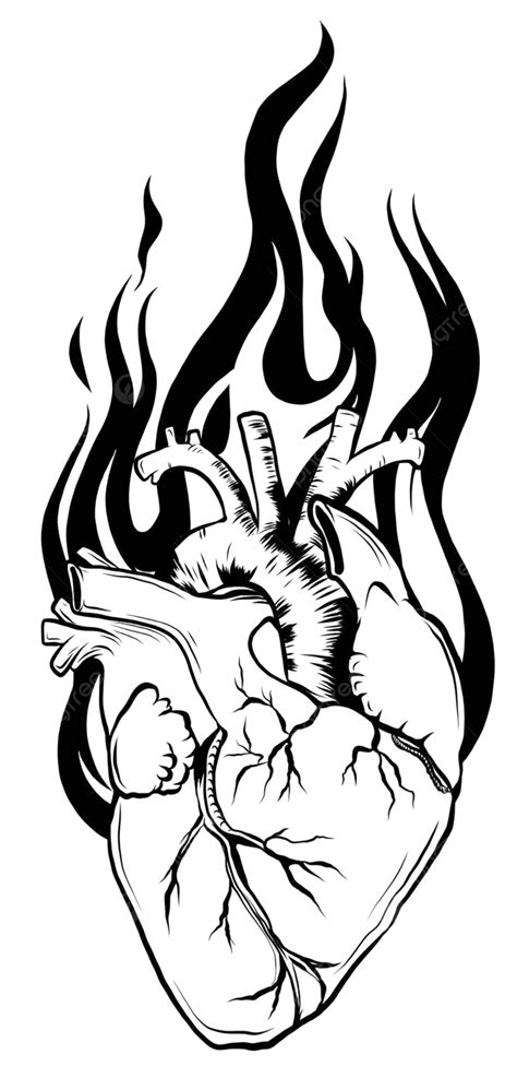 Human Heart Black Linetattoo Vector Illustration Vintage Science