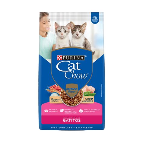 Conoce Las Diversas Razas De Gatos Purina