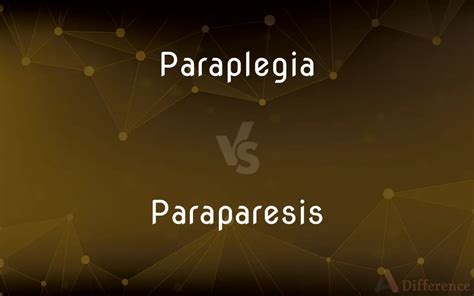 Paraplegia vs. Paraparesis — What’s the Difference?